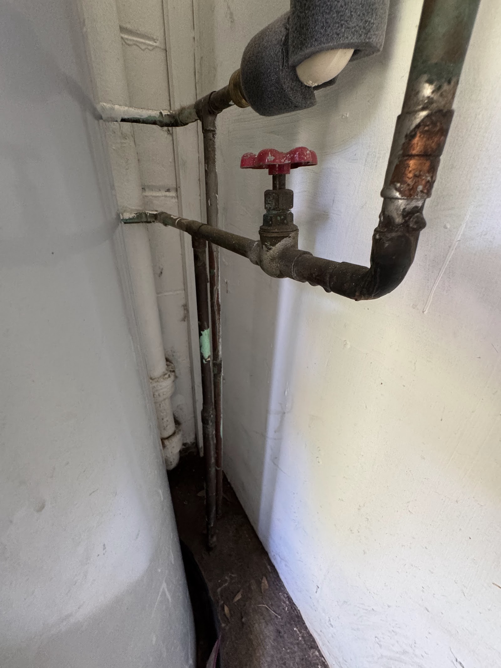 711 Montreville Ave — Photo 38
