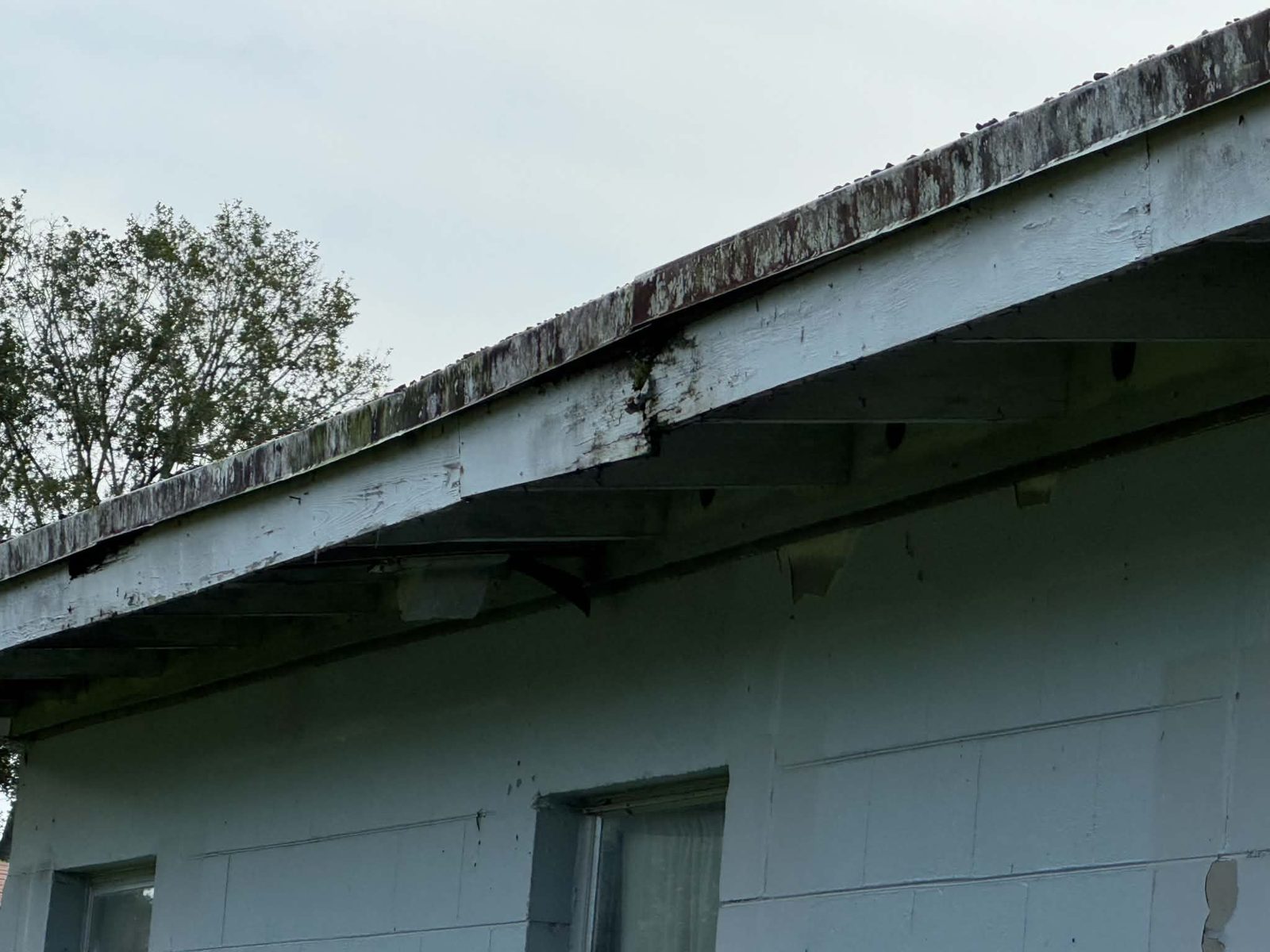 3005 S Park Ave — Photo 19