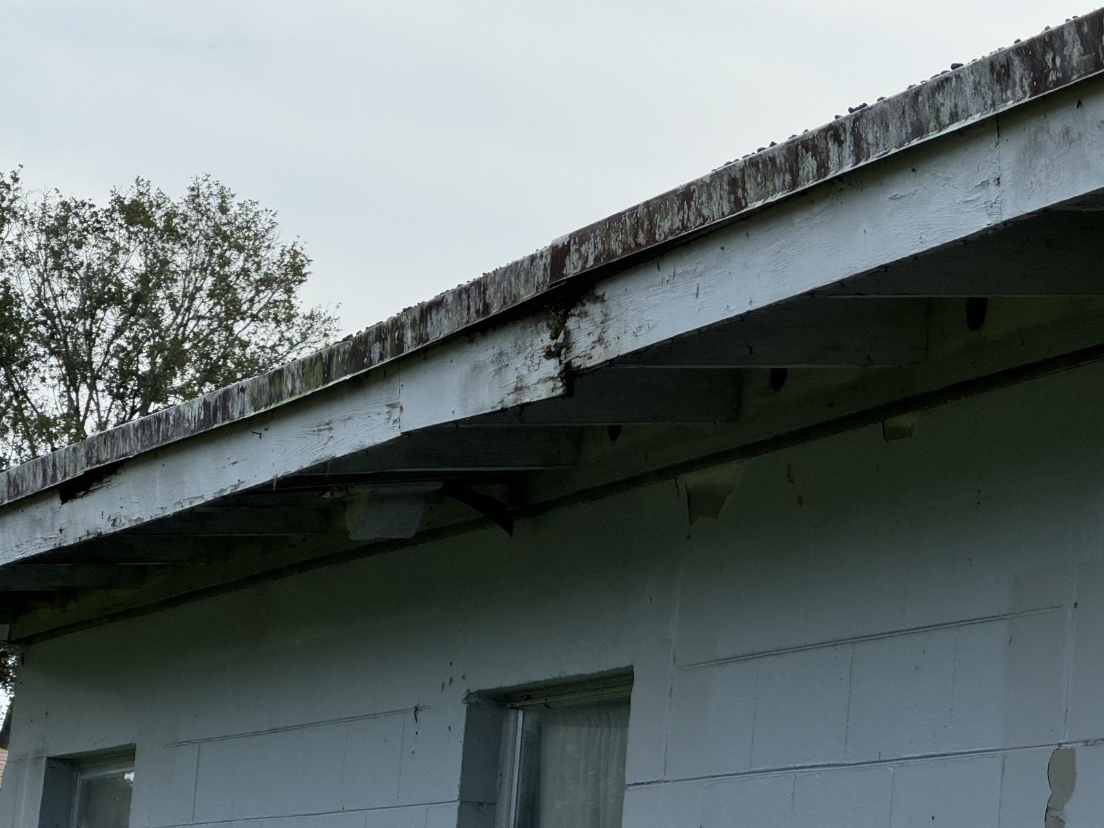 3005 S Park Ave — Photo 4